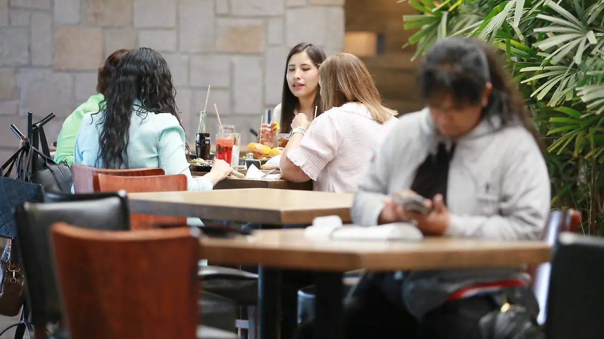 WhatsApp Image 2026-04-25 at 2.29.21 PM (1)