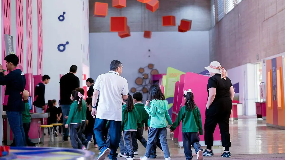 WhatsApp Image 2026-04-25 at 19.49.31 (1)