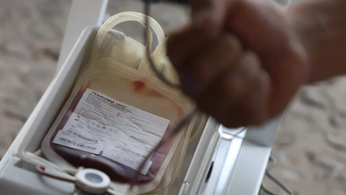 1074589_Donación de Sangre Latido Puma_web