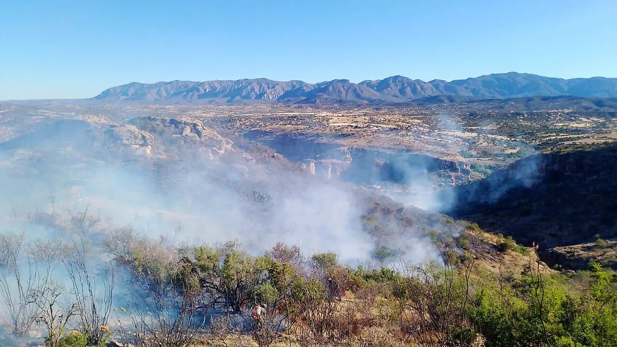 Sofocan incendio forestal tras más de seis horas de combate en Santiago