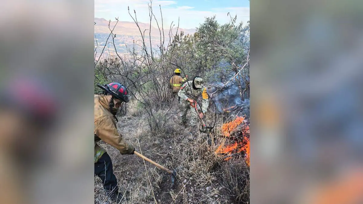 Sofocan incendio forestal tras más de seis horas de combate en Santiago