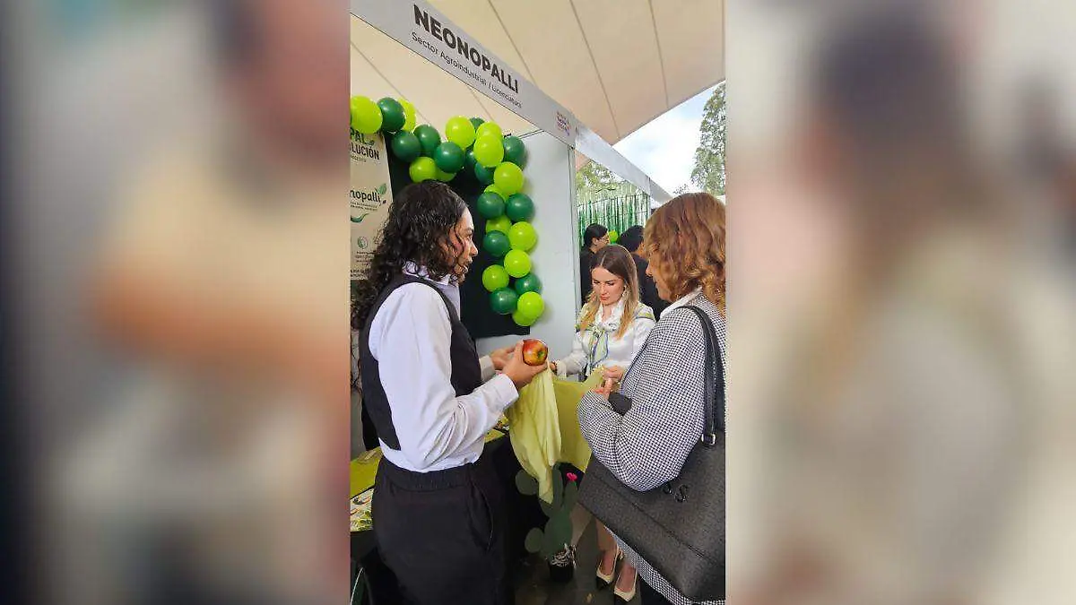 ITD impulsa proyectos de innovación rumbo a etapa regional de InnovaTecNM 2026