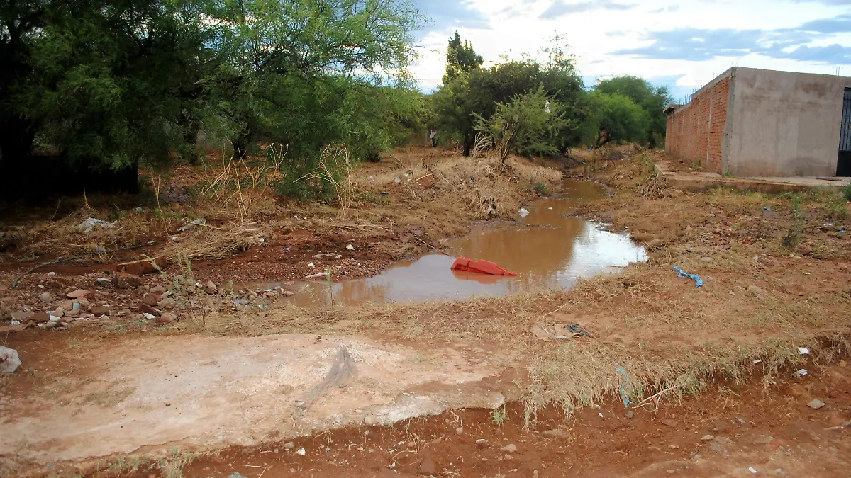 Arroyo taponeado en su cauce natural