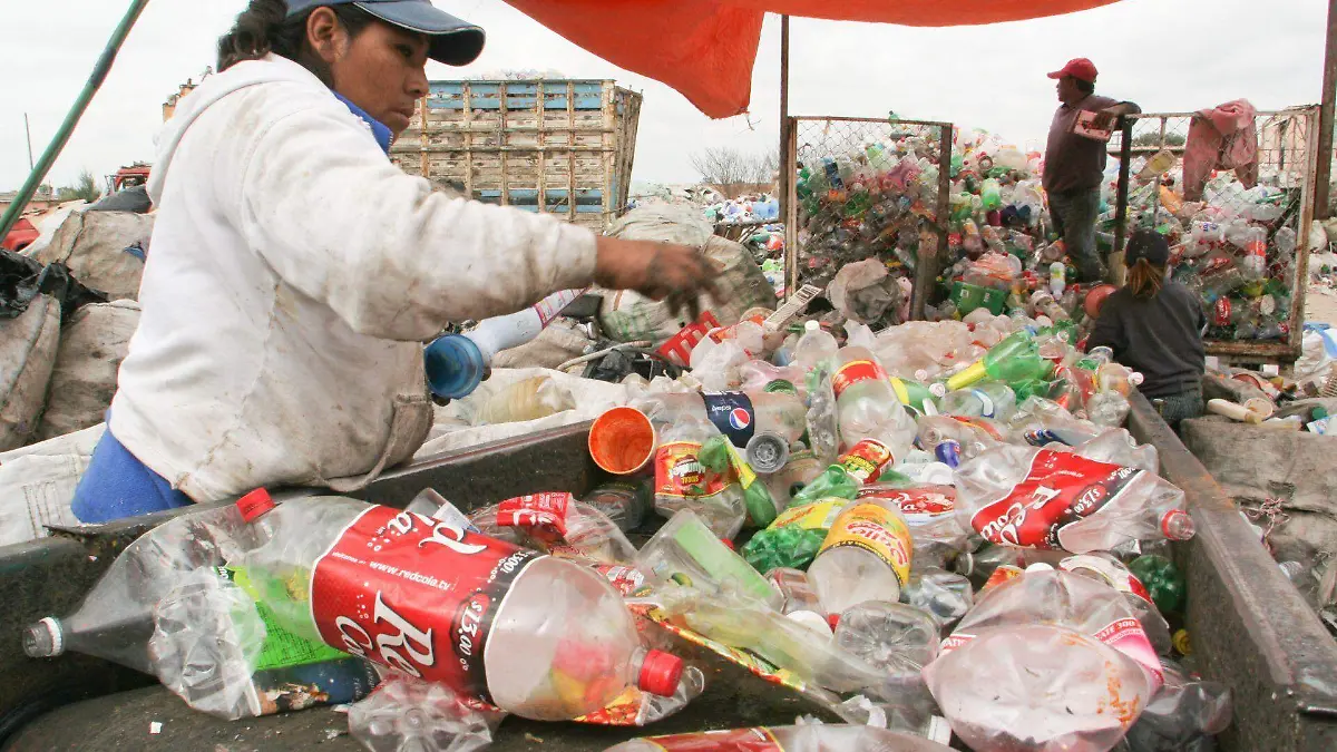 237366_Basura Reciclaje Plastico_web
