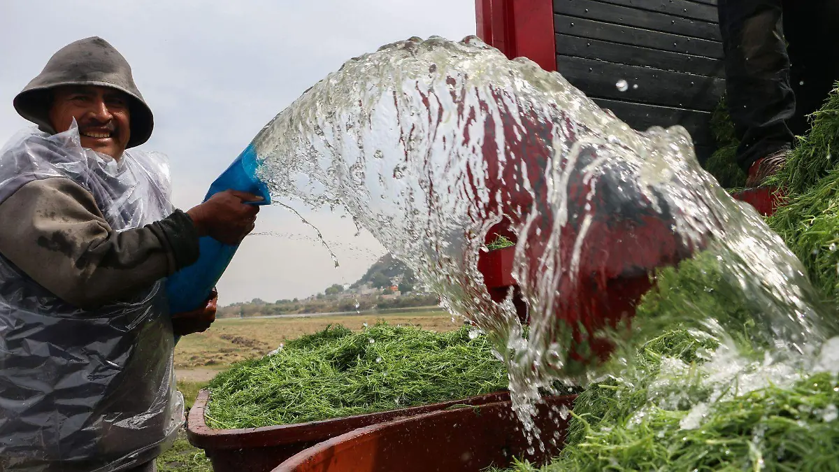 546773_Dia Mundial del Agua-Laguna Tlahuac_web