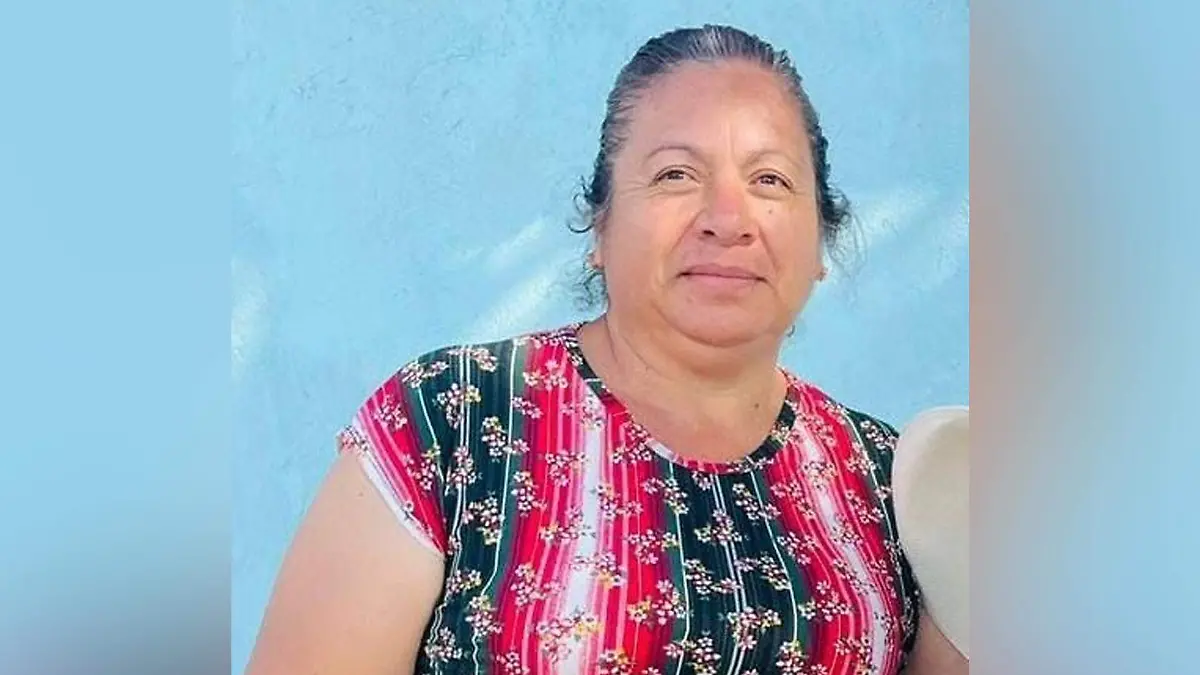 desaparecida