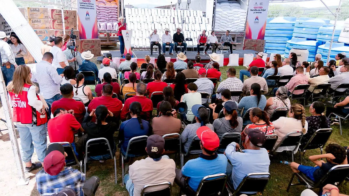 500 productores de Peñón Blanco reciben 90 toneladas de semilla de avena y 30 de frijol (3)