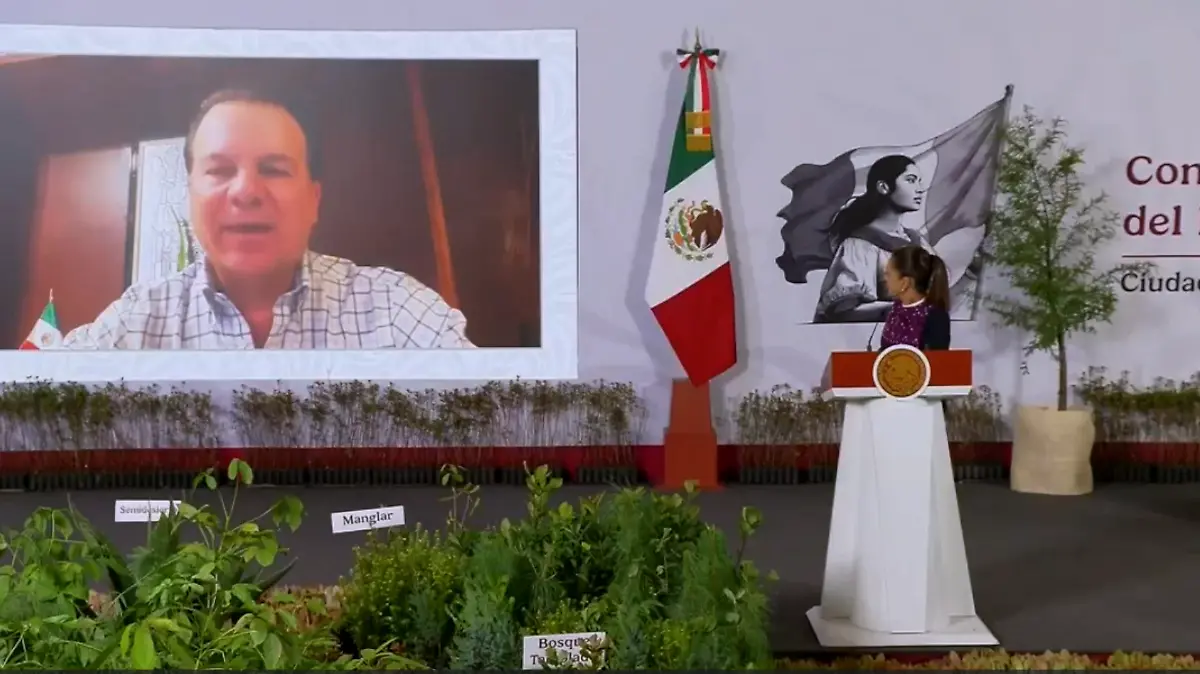 Captura de pantalla 2026-08-05 101519