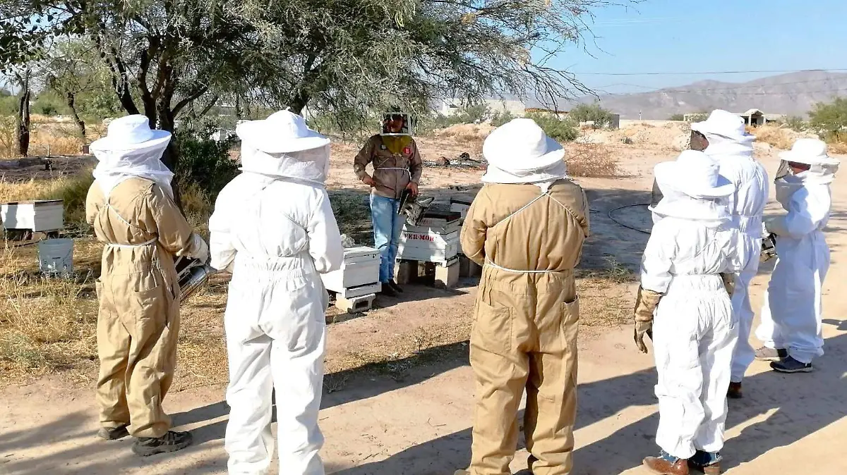 Tercer Encuentro Regional Apícola busca fortalecer la apicultura y la conservación en la Comarca Lagunera
