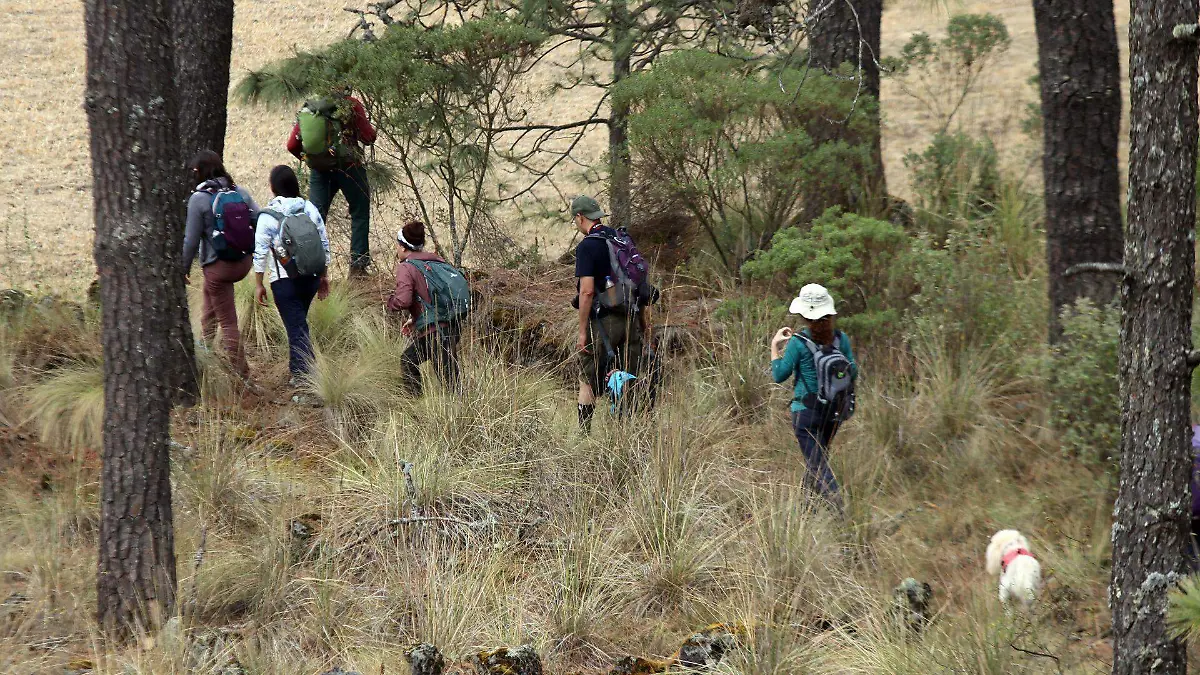 796781_Turismo Bosque Huitzilac 2_web