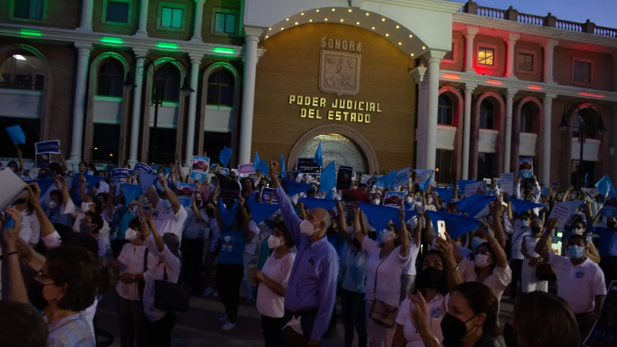 Manifestacion Provida congreso  Poder judicial - Mike Acosta (45)