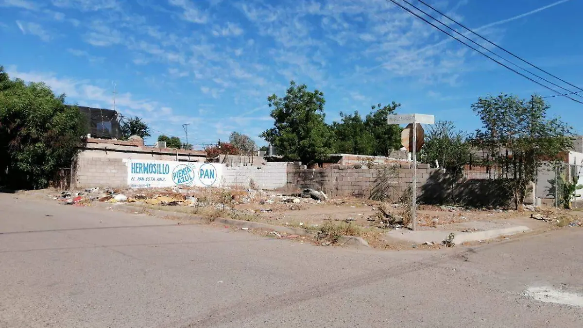 Vecinos de la colonia Progresista solicitan limpieza de lote baldío 