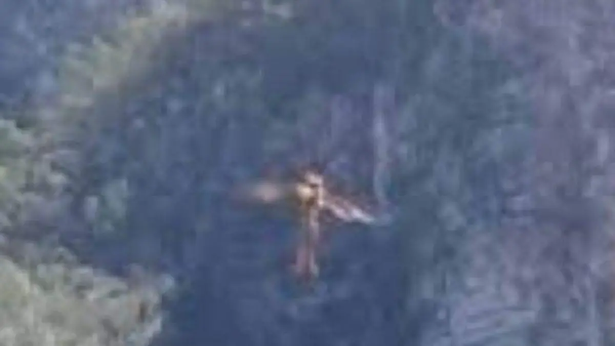 ¿Conoces la leyenda de la gárgola que habita los cerros de Guaymas?