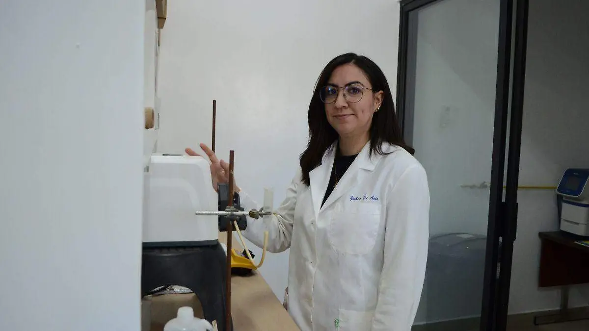 Diseño sin título (5)