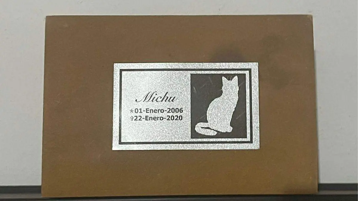 Michu caja cenizas