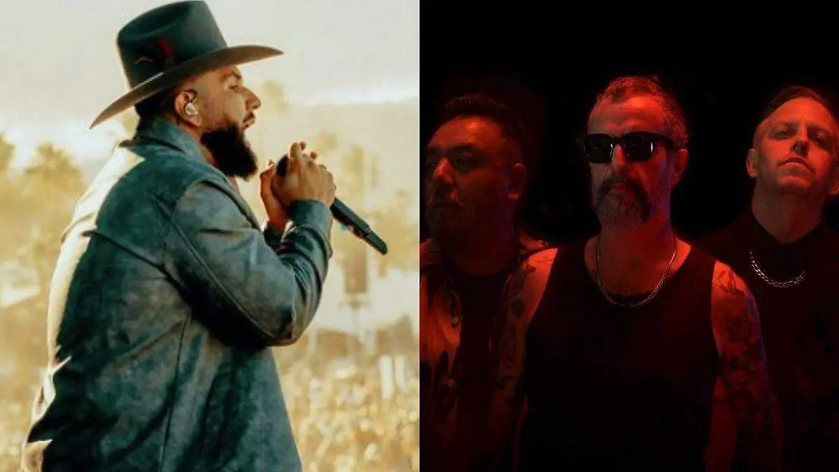 Molotov y Carín León