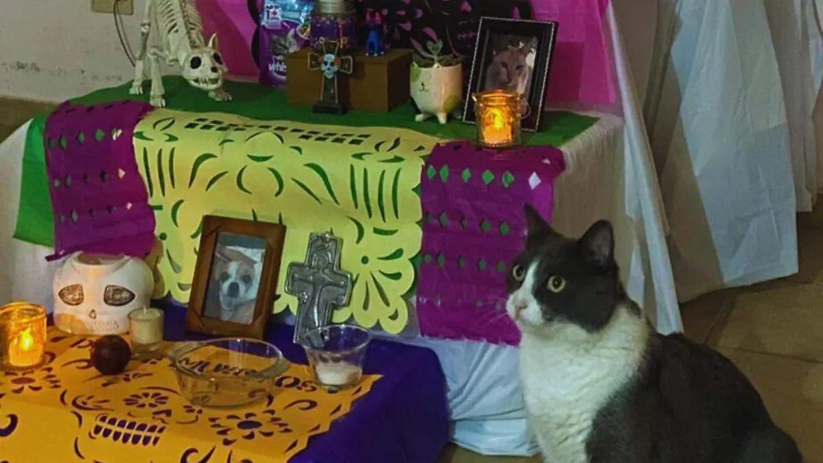 Altar animales