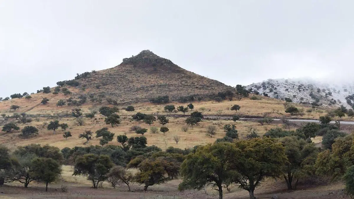 Diseño sin título (17)