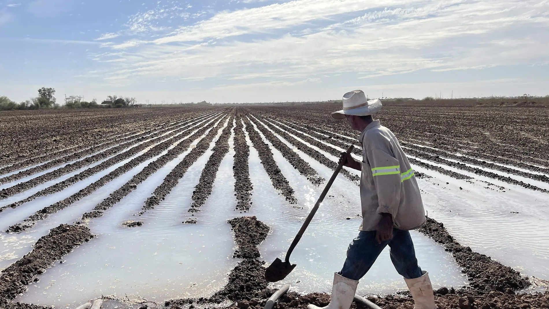 Agricultura