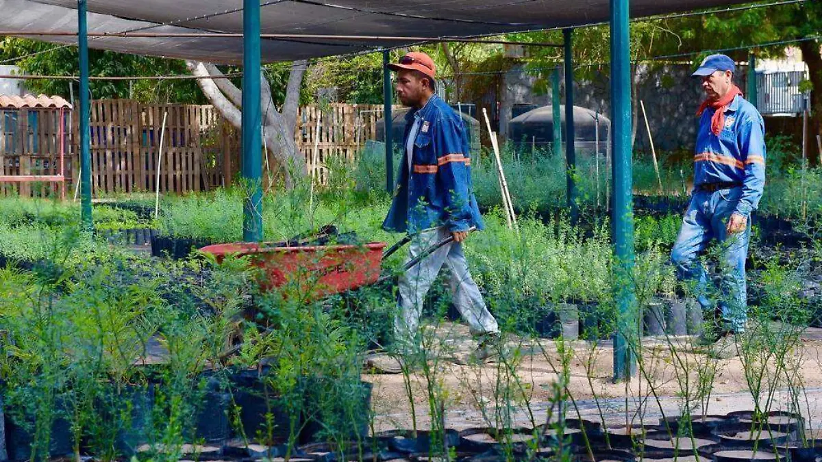 WhatsApp Image 2023-06-28 at 14.49.22