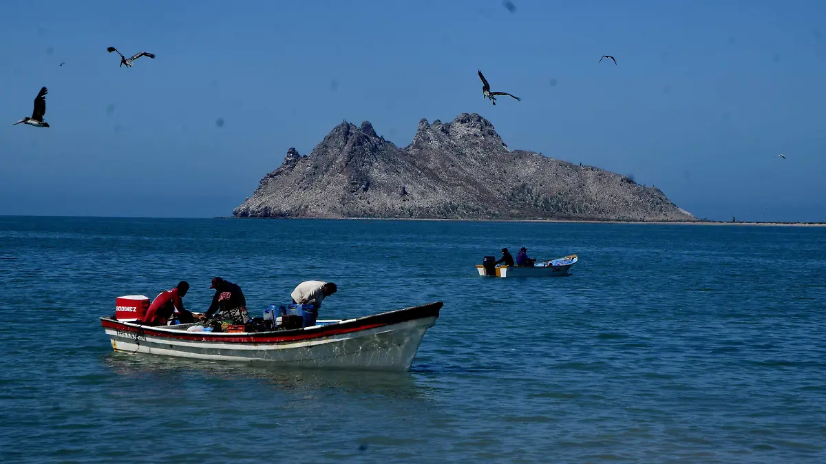 09-04-2022-Pescadores Bahía de KIno-carlos Villalba (15)