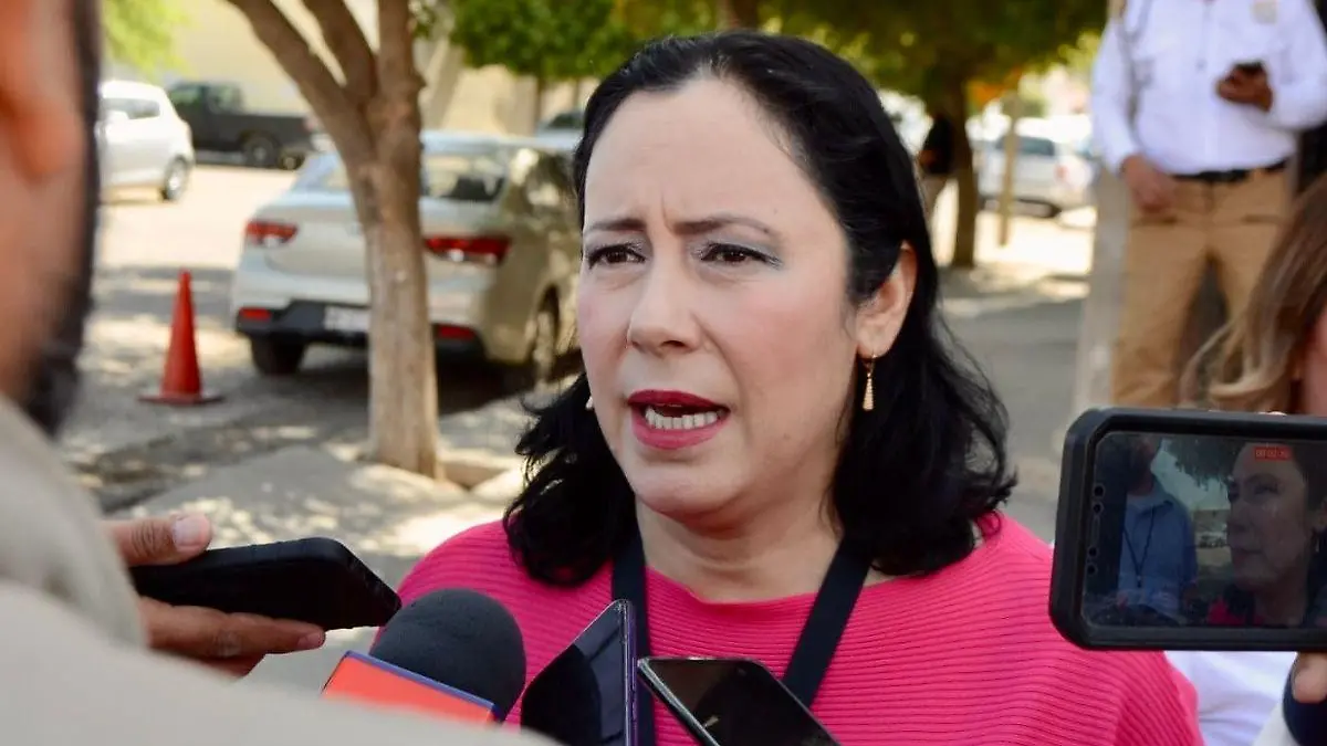 Verónica Sandoval presidenta del Consejo Local del INE 