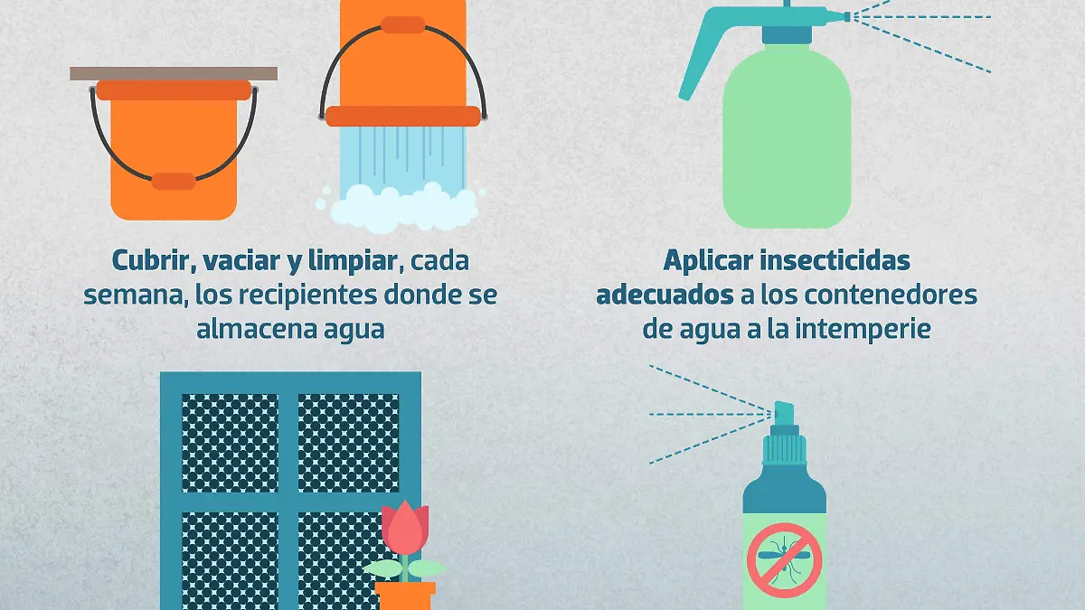 Dengue cuidados infografia