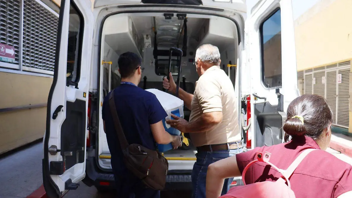 Donación de órganos