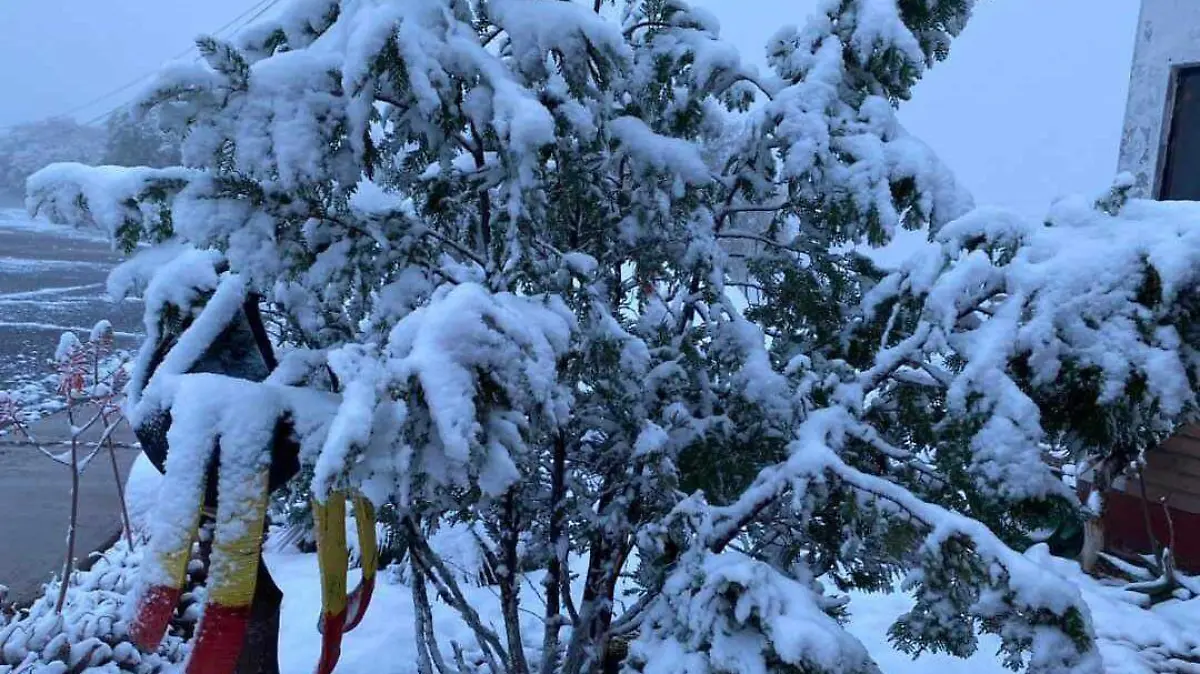 Nevada en Nacozari de Garía_Protección Civil Sonora (2)