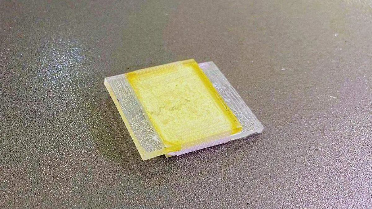 Estduiantes Navojoa a Rusia_3