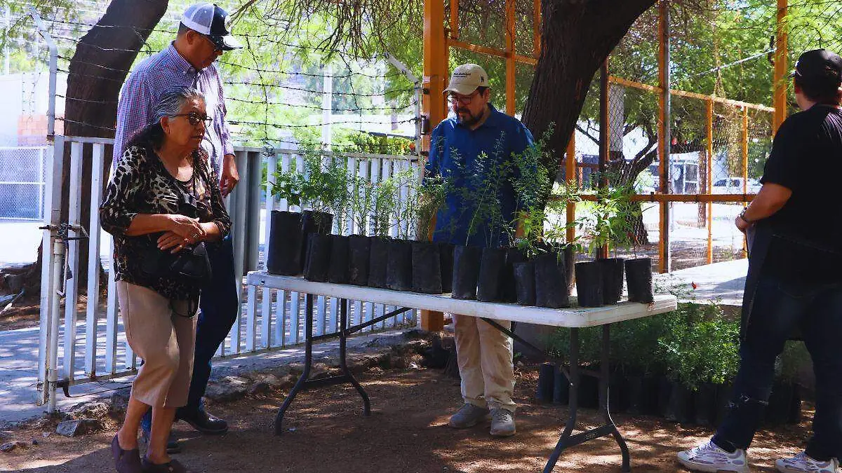 árboles nativos vivero municipal_2