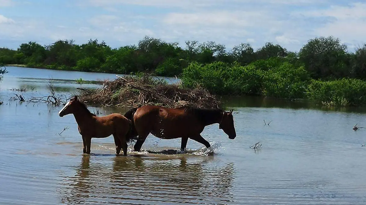 La Colorada ecoturismo