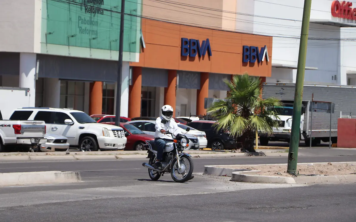 Camellón Reforma reparado_Kimberly Ortega (11)