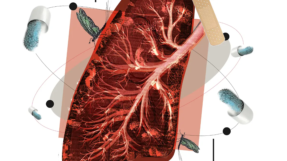 tuberculosis_web