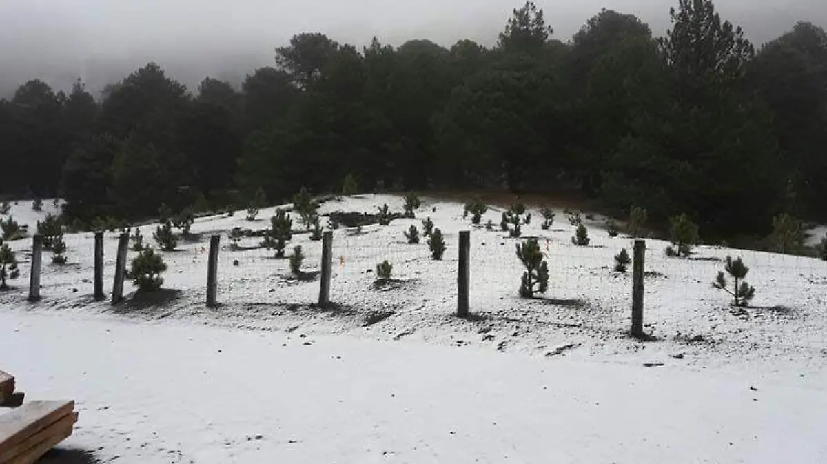 nevado-colima-nieve