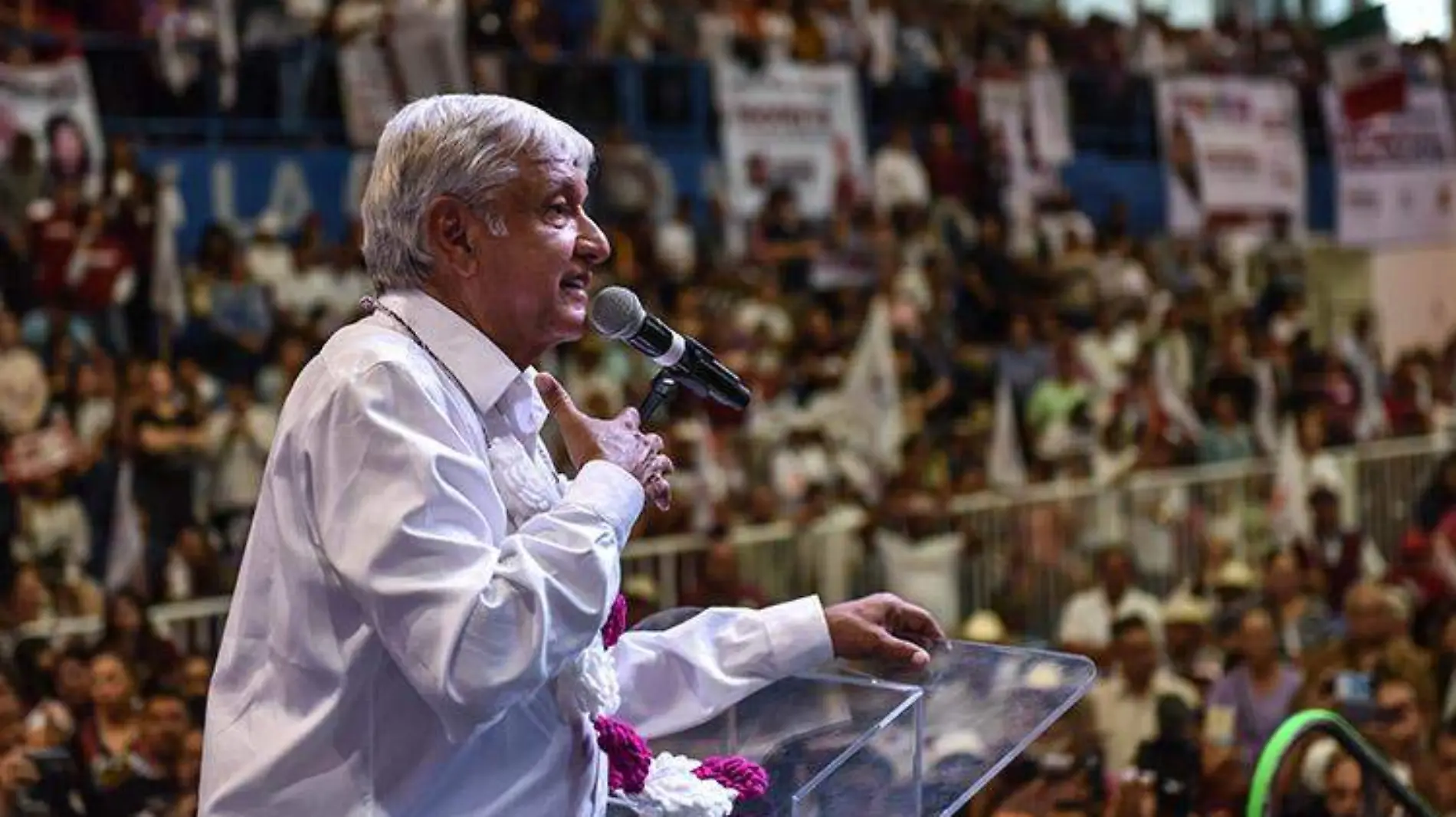 AMLO