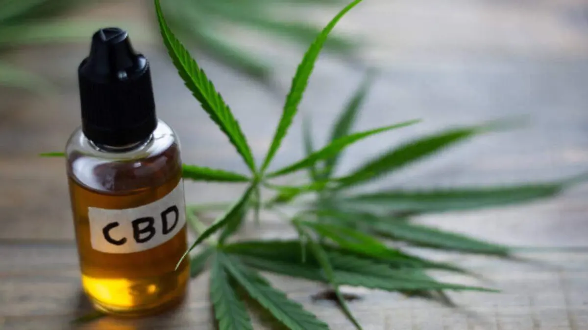 Solo procede CBD proveniente del cáñamo
