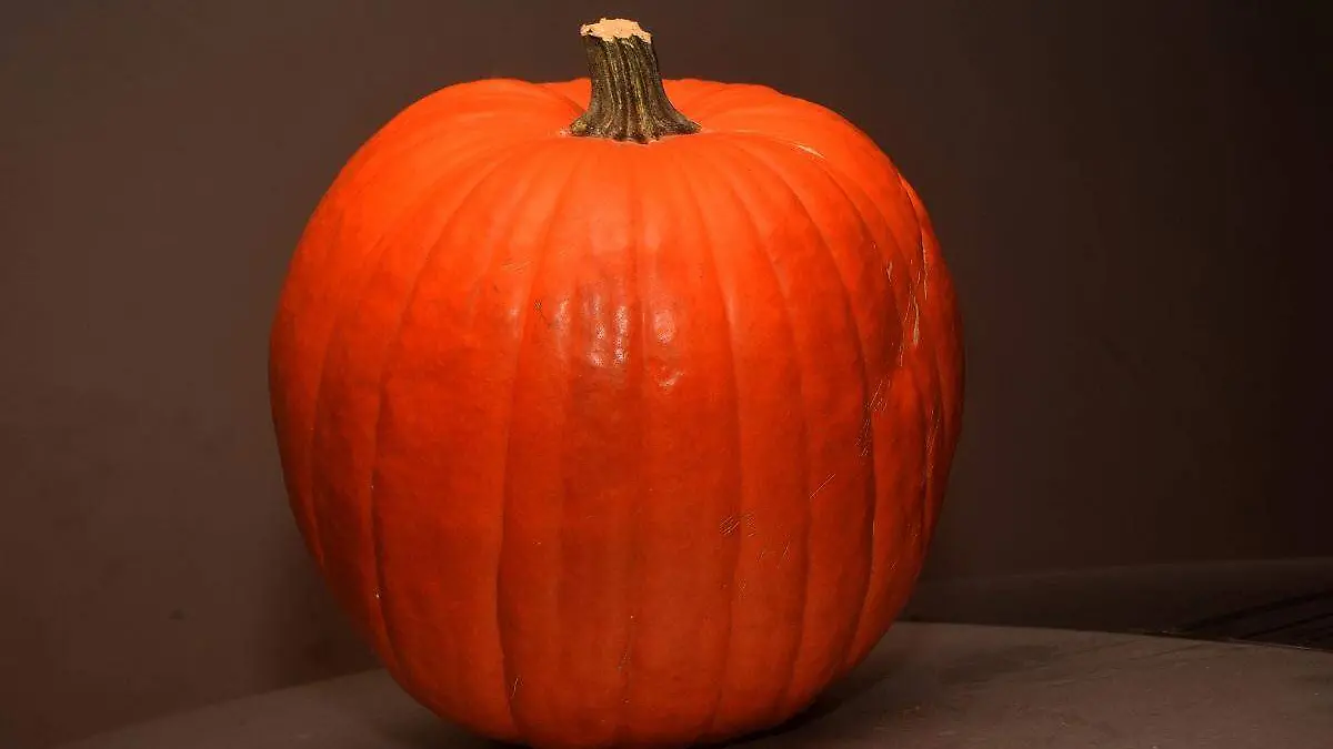 26-10-2021-Calabazas Gigantes-Carlos Villalba (7)