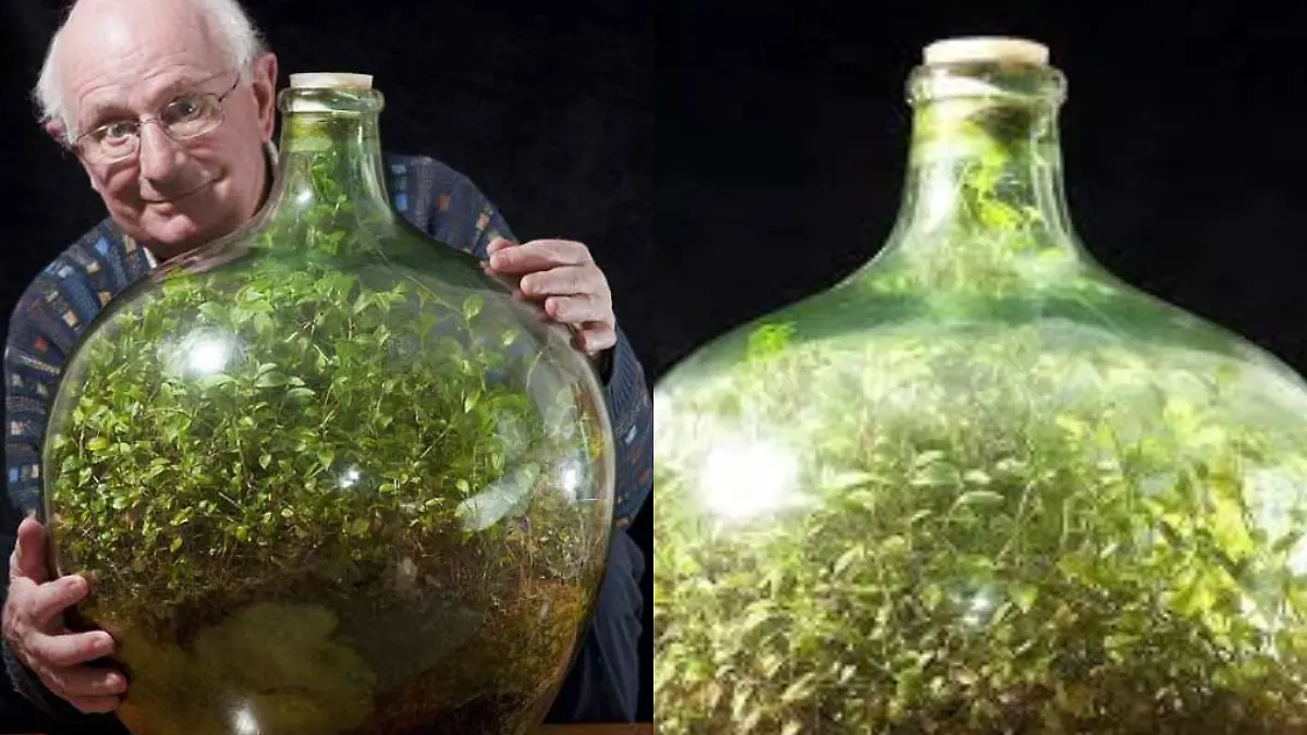 Ecosistema-Botella-Portada