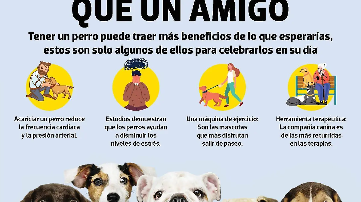 infografía día del perro mascotas