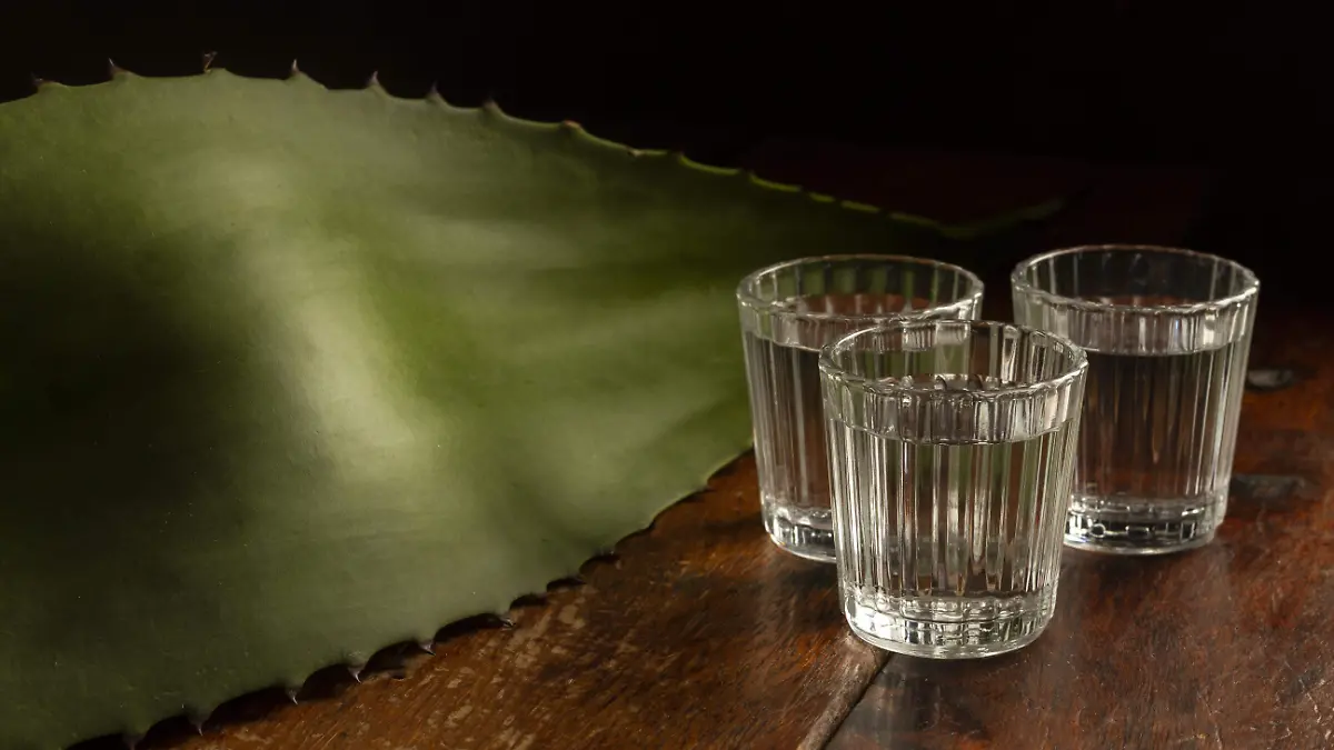 delicious-mezcal-beverage-composition