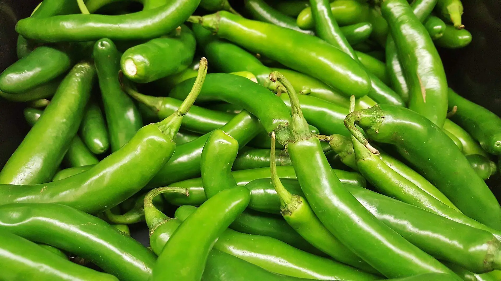 chile serrano