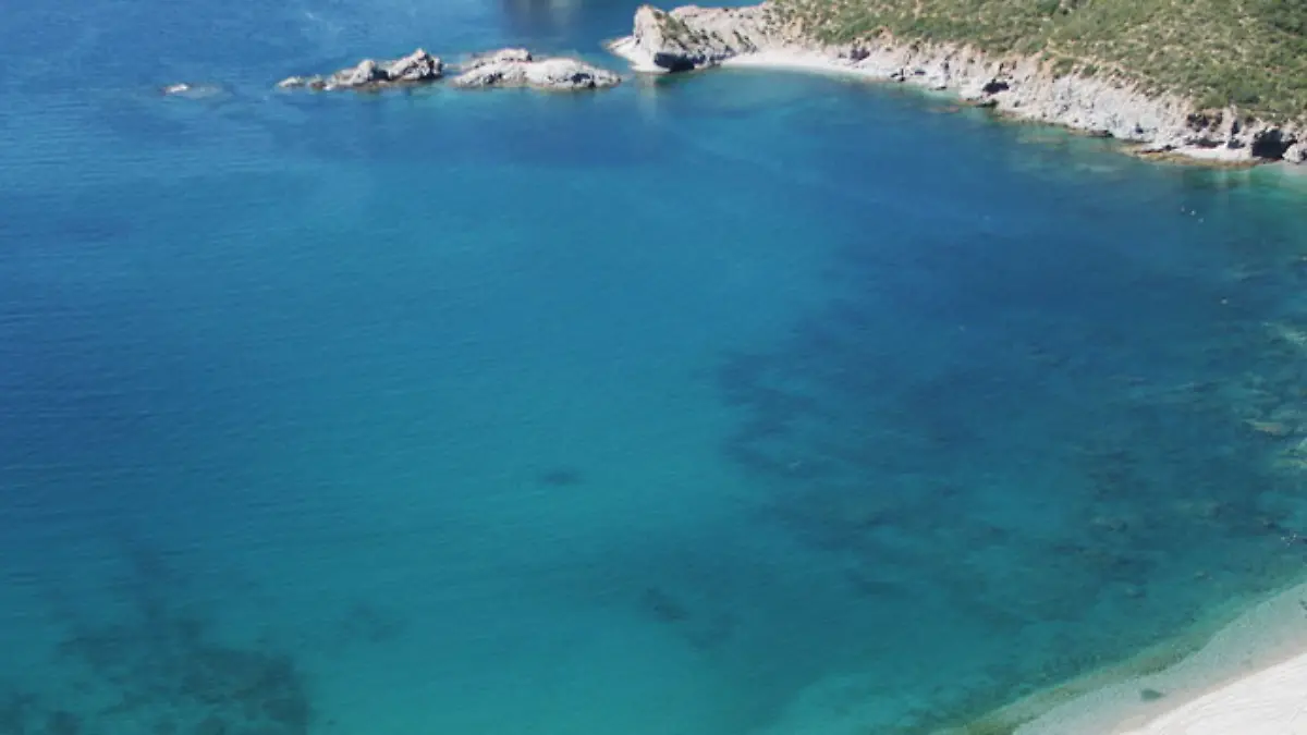 Punta sargento