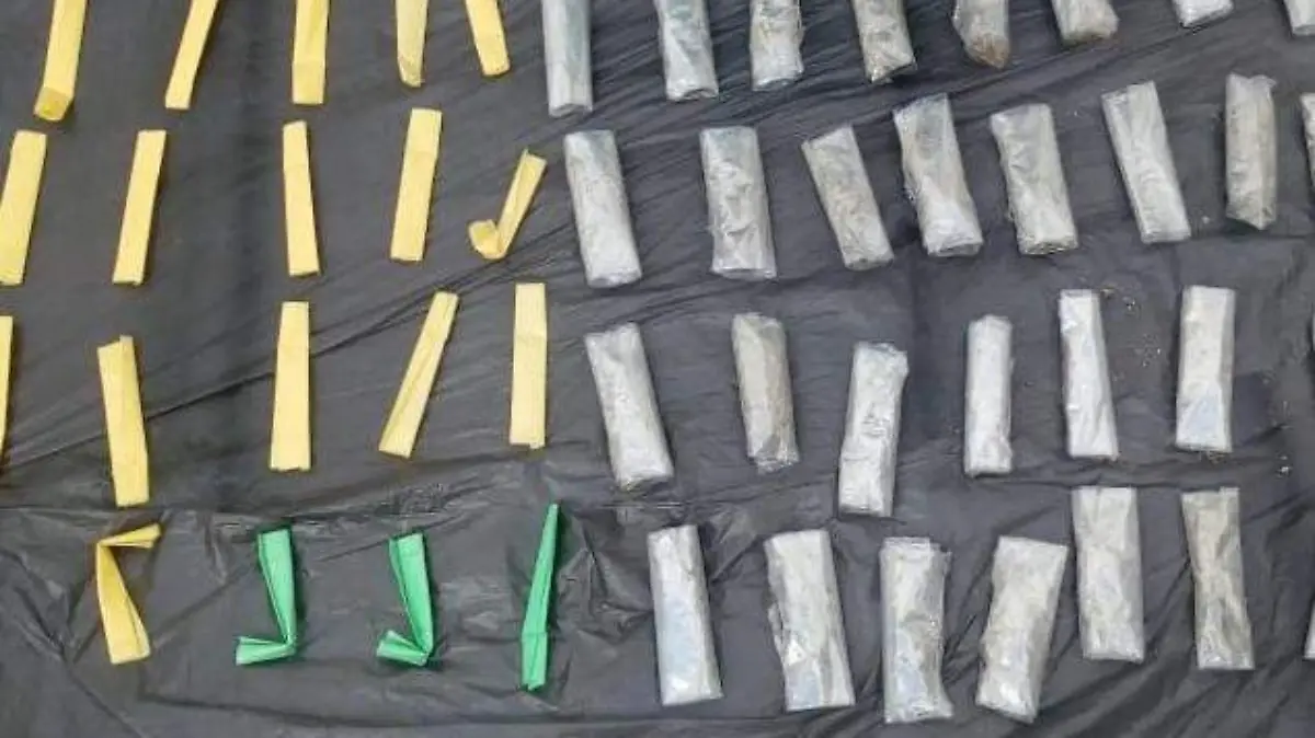 WhatsApp Image 2019-10-12 at 2.35.53 PM (1)