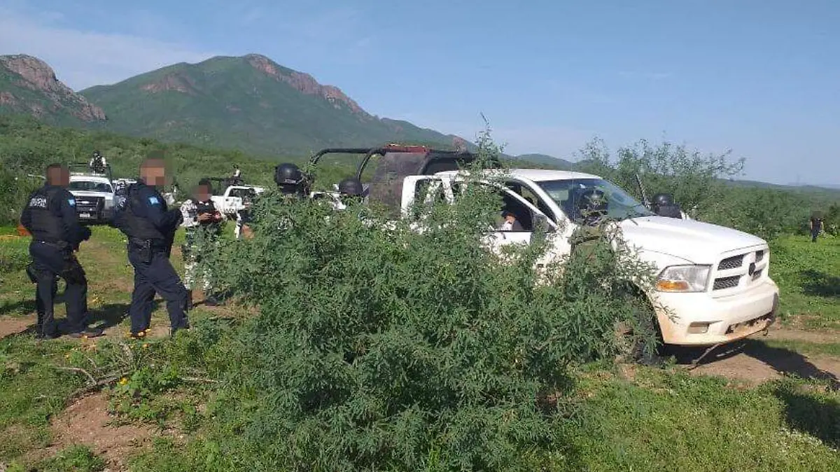 Aseguramiento Magdalena de Kino