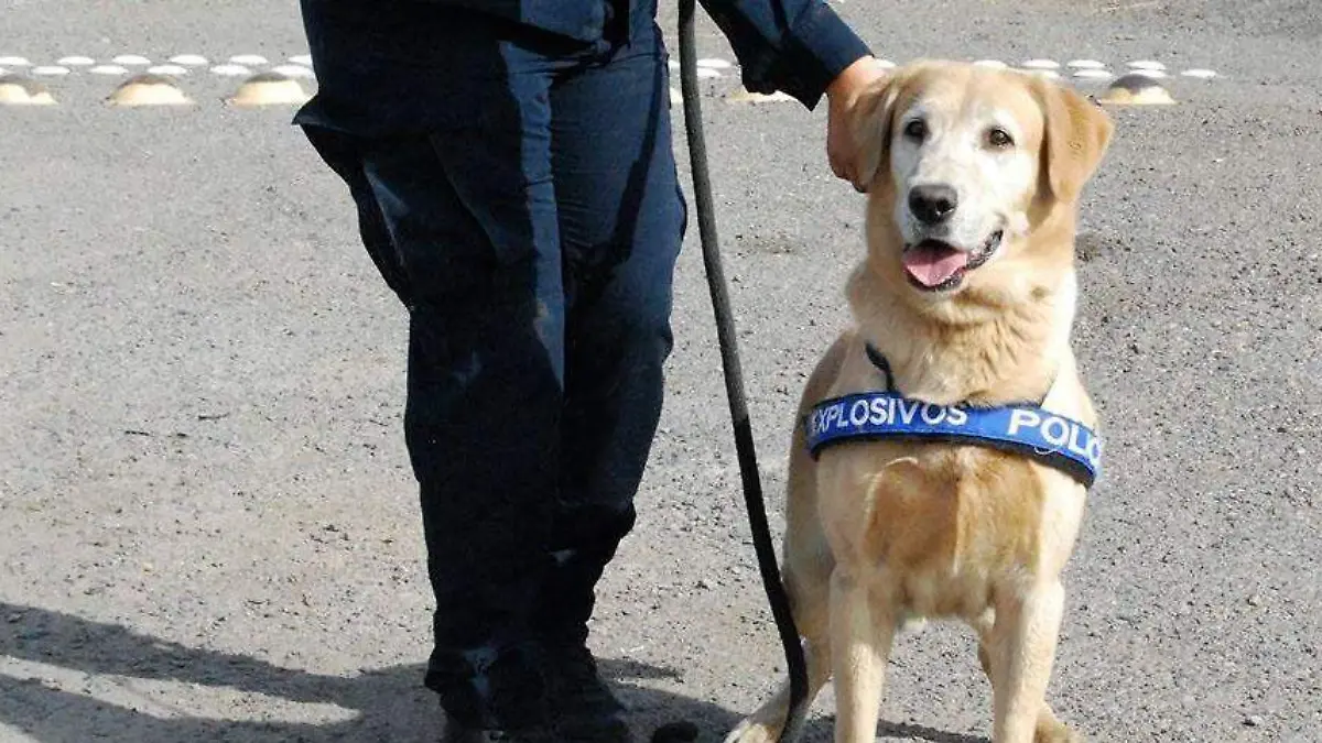 Bubu, perro policía