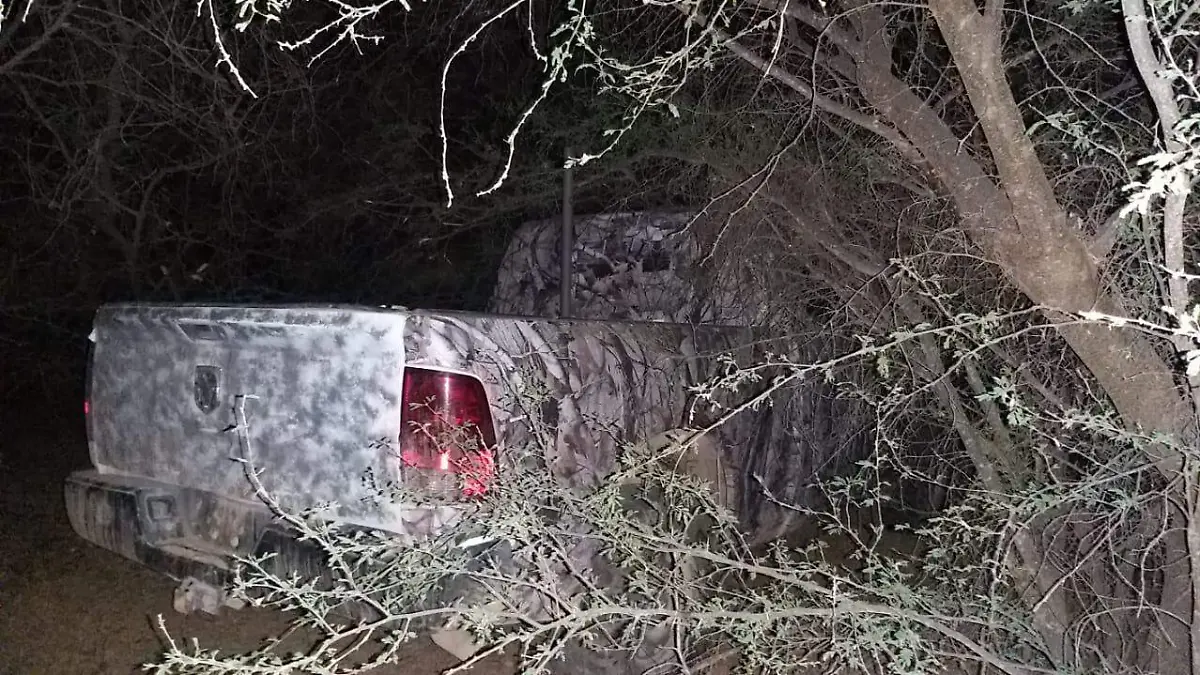 Auto camuflado (3)
