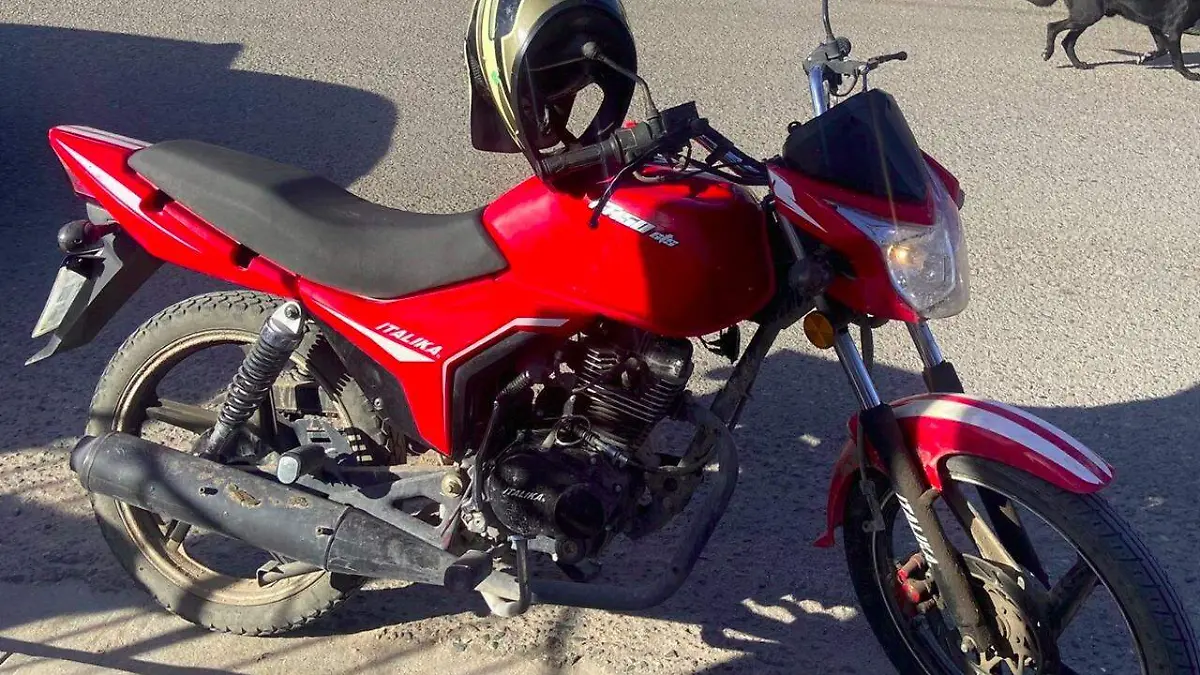 WhatsApp Image 2022-01-05 at 12.36.22 PM