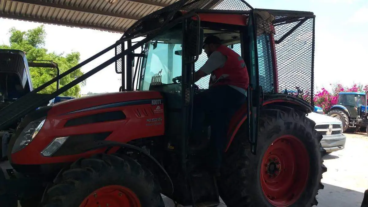 WhatsApp Image 2019-07-31 at 11.31.32