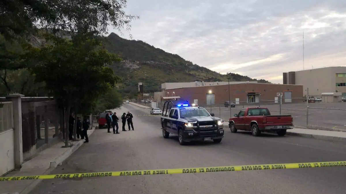 WhatsApp Image 2020-01-20 at 17.53.11